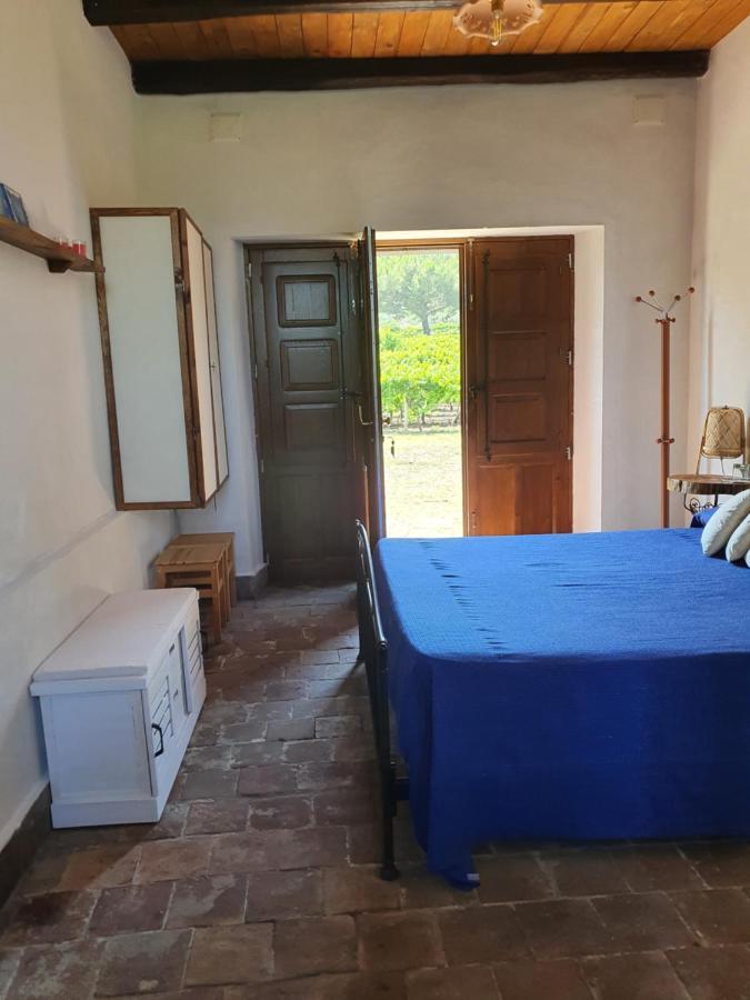 Suite In Vigneto Passopisciaro Exterior foto